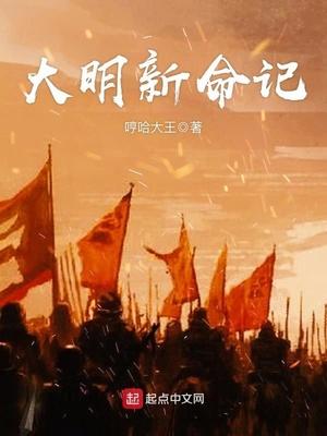 大明新命记笔趣阁免费阅读