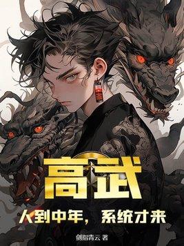 高武人到中年系统才来剑指青云
