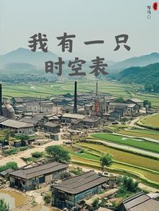 我在80年代当村长全文txt