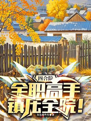 四合院奶爸的
