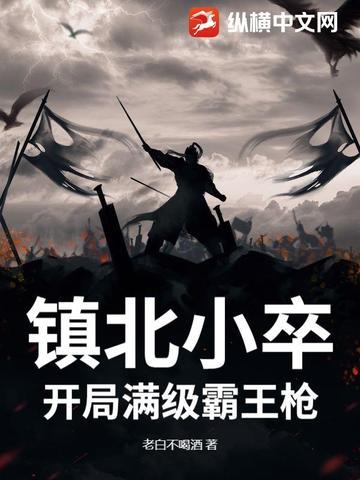 镇北王全文免费阅读