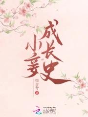 小妾成长史惜言兮讲的什么