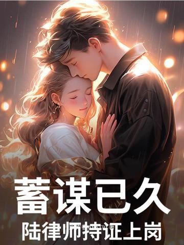 陆律师的