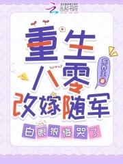 重生八零改嫁随军