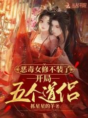 开局五个道侣