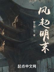 风起明末鸿宇首发