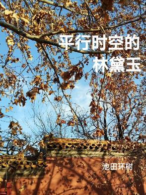 平行时空的人