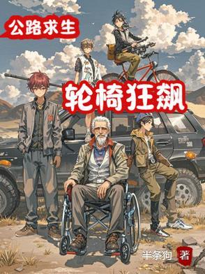 轮椅 悬崖
