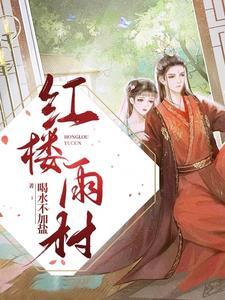 红楼之摄政王妃凰瑛
