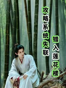 攻略系统