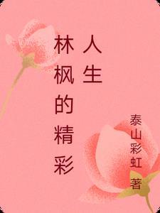 林枫主人公叫什么