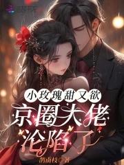 小玫瑰全文免费