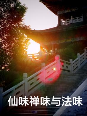 禅味茶味