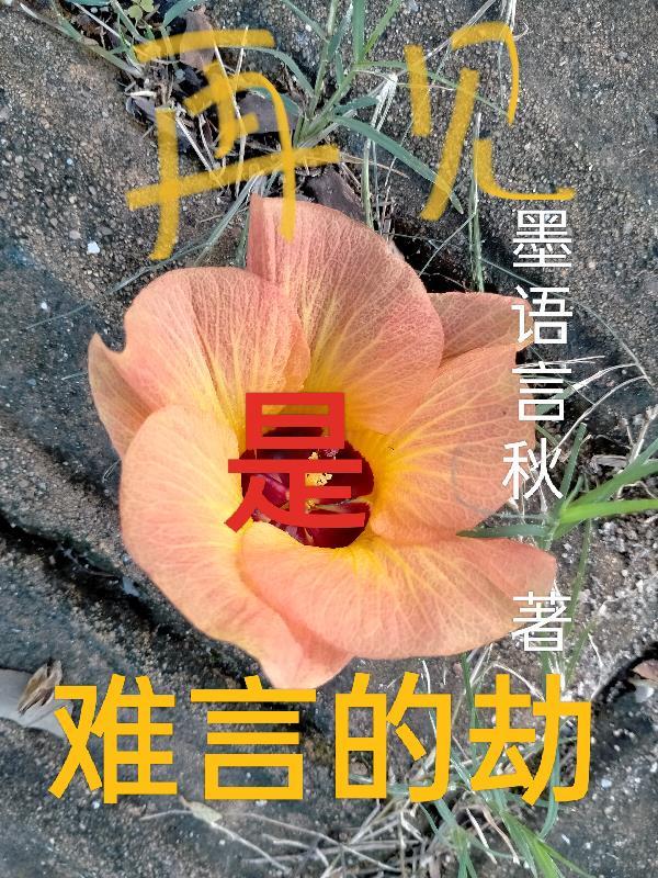 “再见”容易