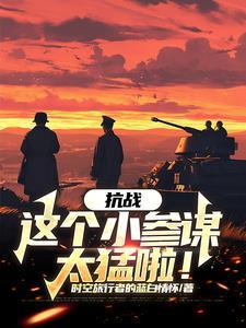 抗日之我是个小杂兵