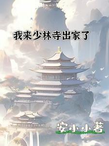 我来少林寺出家了英文