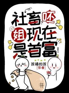 顶级神豪里的境界