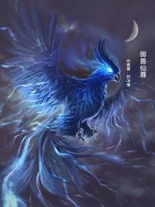 御兽仙尊txt