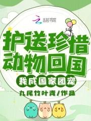 我成国家团宠免费阅读