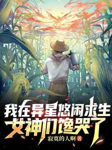 我在异界放卫星起点