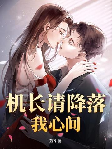机长请降落txt