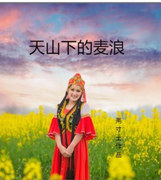 野上麦田