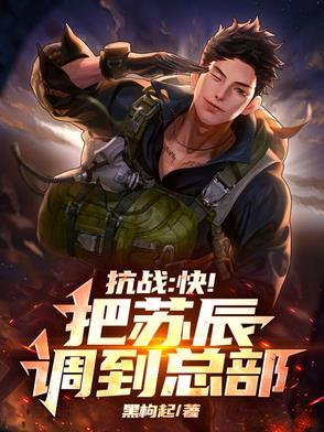 主角叫苏辰的穿越的