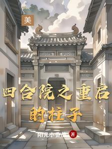 四合院重放映员开始