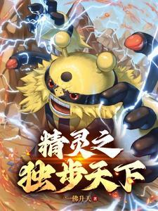宝可梦 神