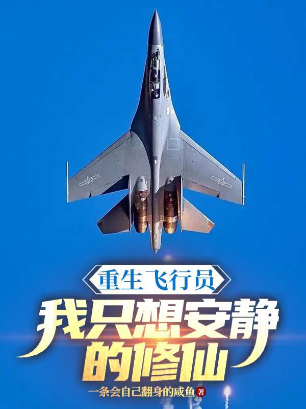重生飞行员
