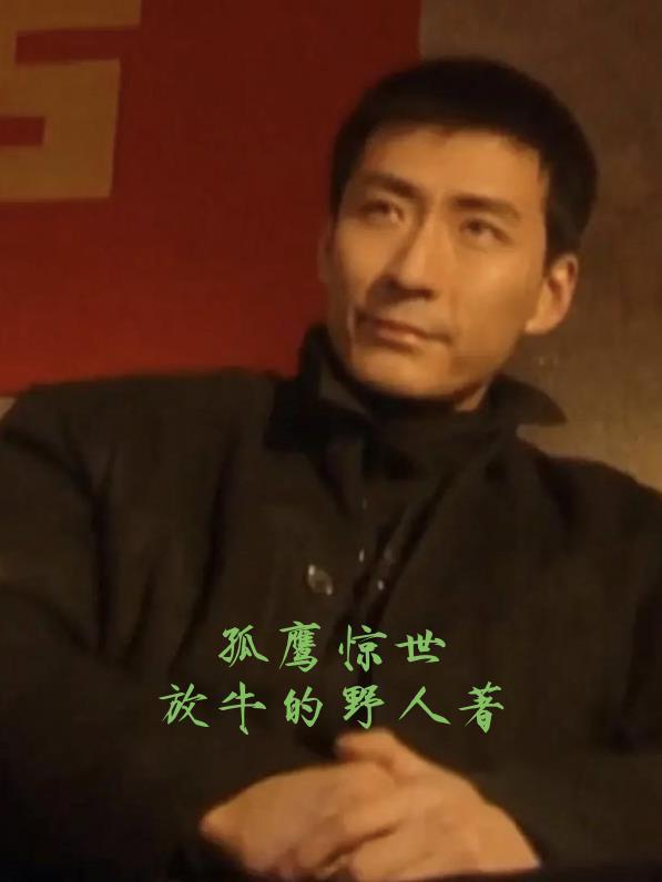 孤鹰简介