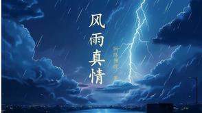 风雨真情这首歌是什么意思