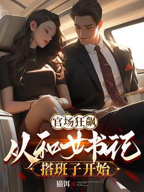 官场从乡书记到省委书记