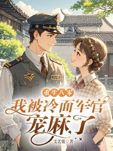 二婚军旅文