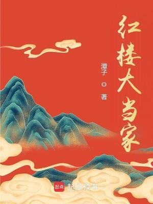 红楼大当家 百度