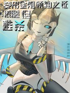 变形金刚·领袖之证