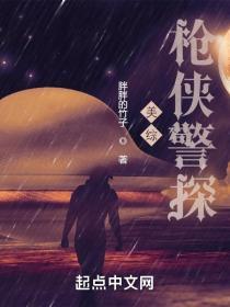 北美枪侠警探百度