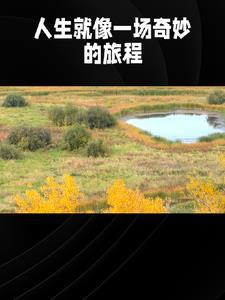 言情的故事情节