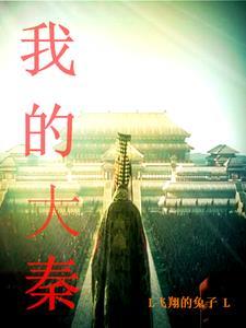 我大秦的将士们
