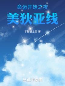 fate月之圣杯战争