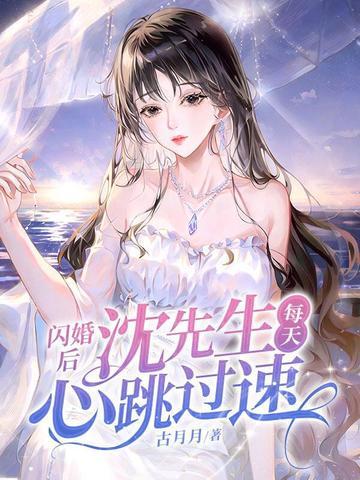闪婚之后沈先生