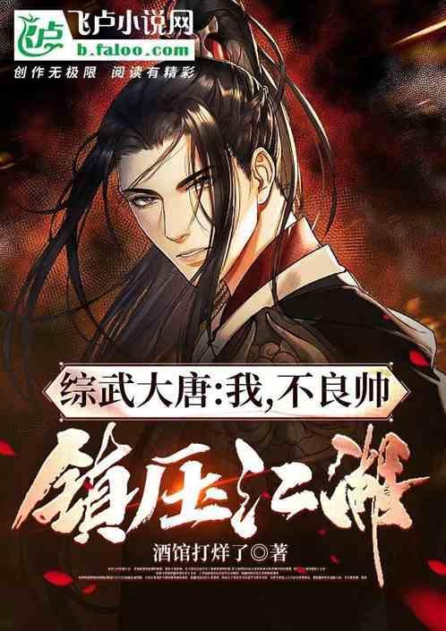 穿越之我是不良帅