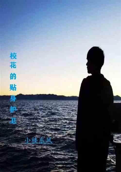 校花的贴身护卫电视剧