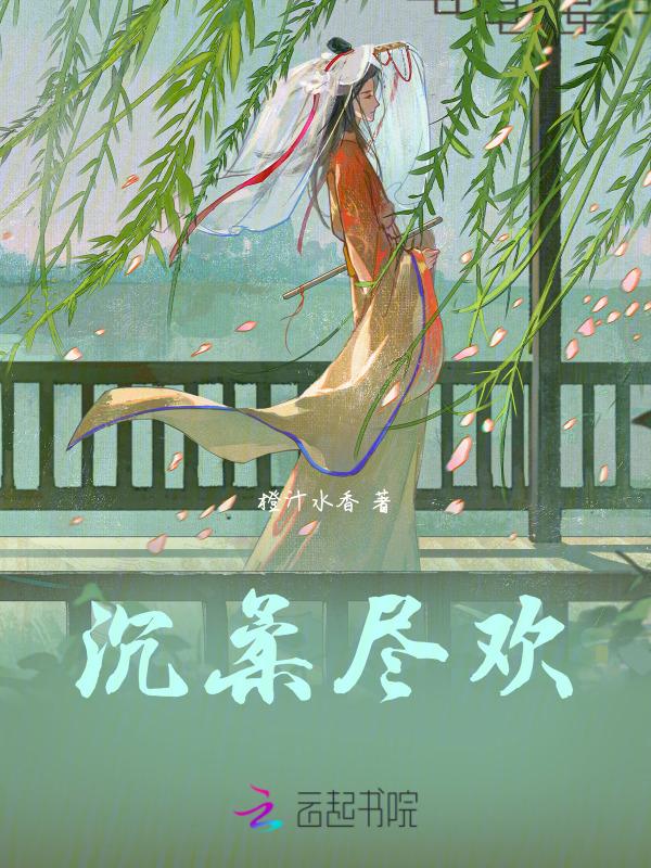 书名 沉欢