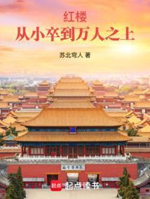 红楼小厮开始奋斗