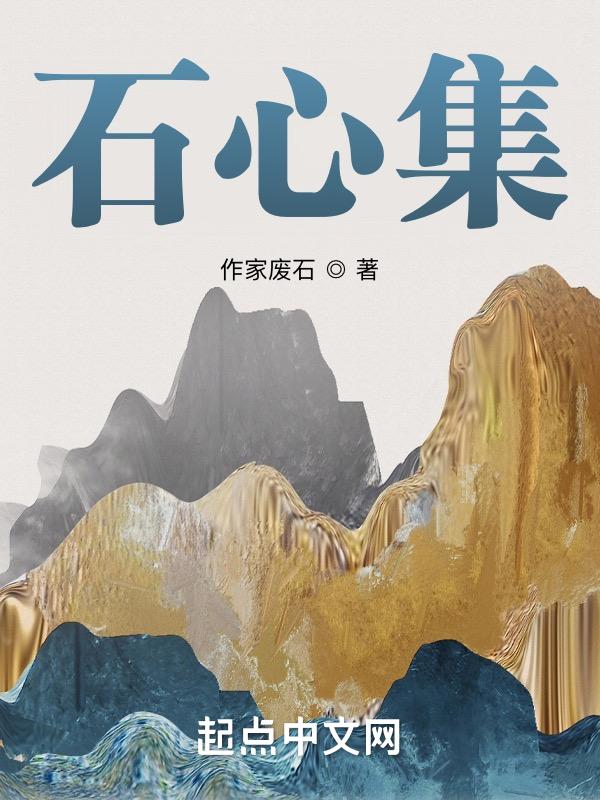 石心集团帕尔默