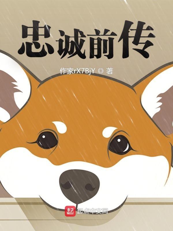 电视剧忠诚原著