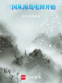 三国从海岛屯田开始全本免费阅读
