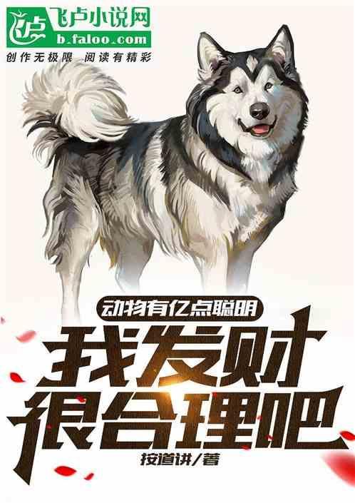 动物有数量概念吗