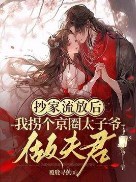 穿越抄家流放的